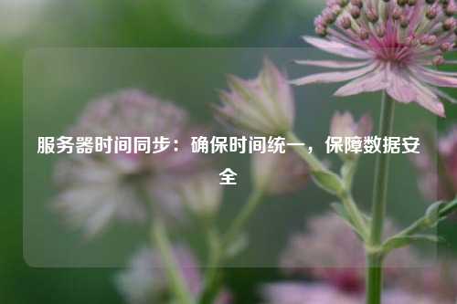 服務(wù)器時間同步：確保時間統(tǒng)一，保障數(shù)據(jù)安全