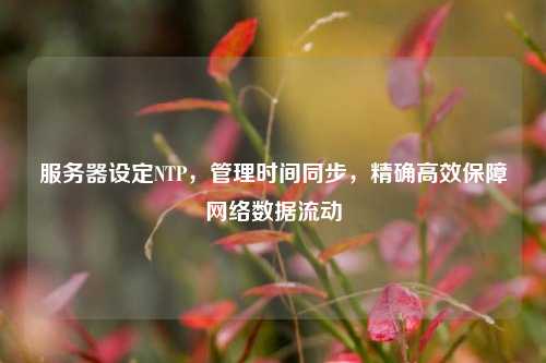 服務(wù)器設(shè)定NTP，管理時間同步，精確高效保障網(wǎng)絡(luò)數(shù)據(jù)流動