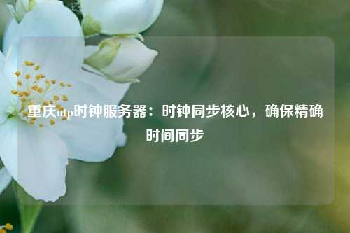 重慶ntp時(shí)鐘服務(wù)器：時(shí)鐘同步核心，確保精確時(shí)間同步