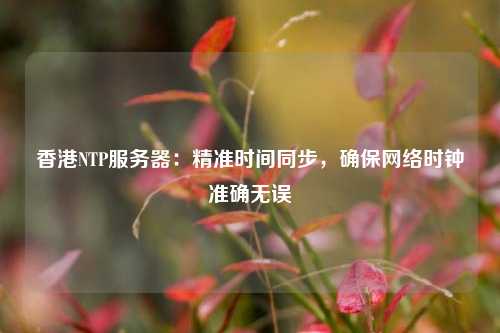 香港NTP服務(wù)器：精準(zhǔn)時(shí)間同步，確保網(wǎng)絡(luò)時(shí)鐘準(zhǔn)確無誤