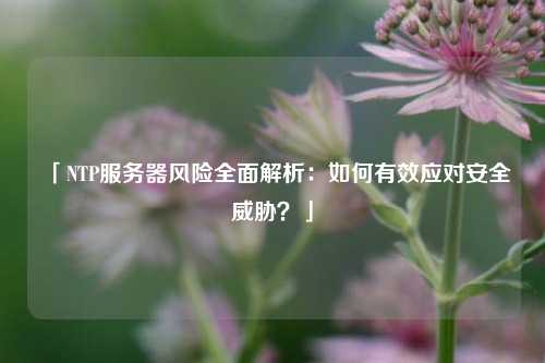 「NTP服務(wù)器風(fēng)險(xiǎn)全面解析：如何有效應(yīng)對(duì)安全威脅？」