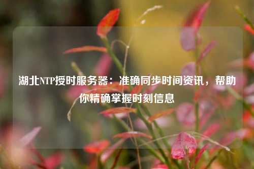 湖北NTP授時(shí)服務(wù)器：準(zhǔn)確同步時(shí)間資訊，幫助你精確掌握時(shí)刻信息