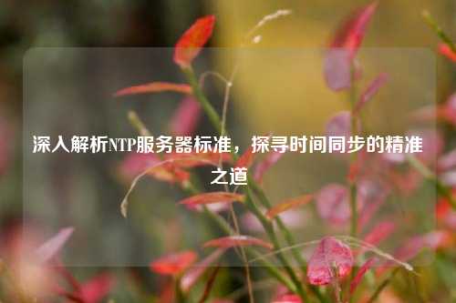 深入解析NTP服務(wù)器標(biāo)準(zhǔn)，探尋時(shí)間同步的精準(zhǔn)之道