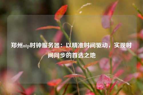 鄭州ntp時鐘服務(wù)器：以精準(zhǔn)時間驅(qū)動，實現(xiàn)時間同步的首選之地