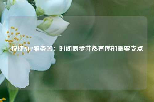 銳捷NTP服務(wù)器：時(shí)間同步井然有序的重要支點(diǎn)