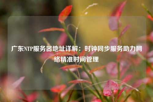 廣東NTP服務(wù)器地址詳解：時鐘同步服務(wù)助力網(wǎng)絡(luò)精準(zhǔn)時間管理