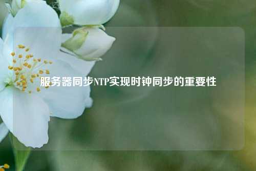 服務(wù)器同步NTP實現(xiàn)時鐘同步的重要性