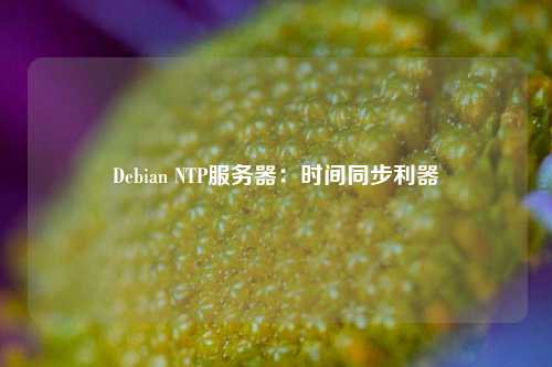 Debian NTP服務(wù)器：時間同步利器