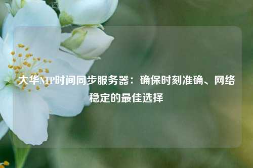 大華NTP時間同步服務(wù)器：確保時刻準(zhǔn)確、網(wǎng)絡(luò)穩(wěn)定的最佳選擇
