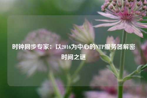 時鐘同步專家：以2016為中心的NTP服務(wù)器解密時間之謎